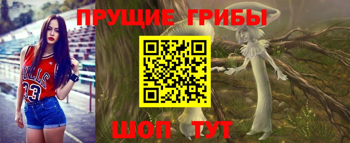 Галлюциногенные грибы Psilocybine cubensis Лениногорск