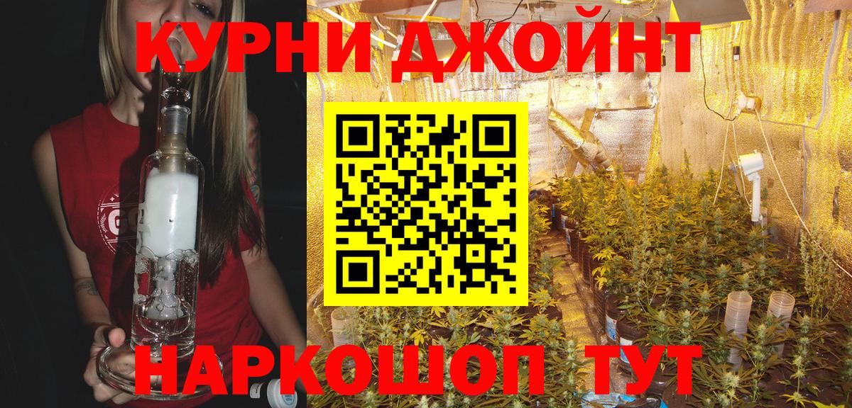 Конопля гибрид Лениногорск